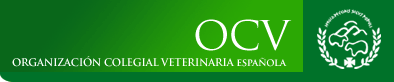 <em>  			Juan J. Jiménez Alonso  		-Director de los Servicios Jurídicos del Consejo General de Colegios Veterinarios de España </em>